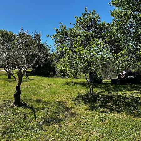 Les Demeures Du Clos Niozelles Экстерьер фото
